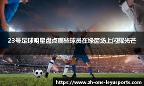 斗恶龙7重