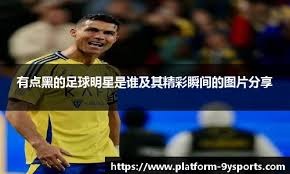 态效果