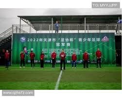 场优势