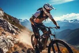 2025 赛季：CPBL 统一狮队在常规赛半季夺冠后，季后赛不幸被乐天桃猿横扫